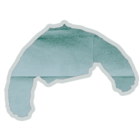a piece of paper with the shape of a teddy bear